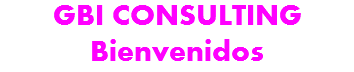 GBI CONSULTING Bienvenidos